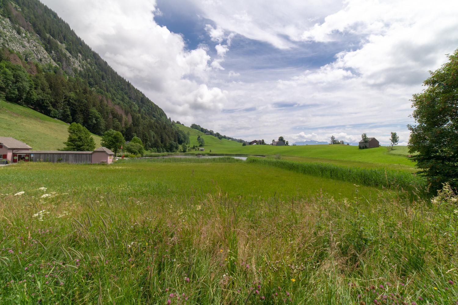 Wiesel Wildhaus Exterior foto